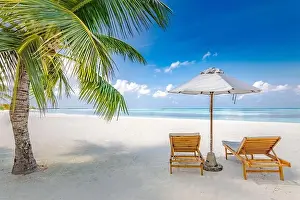 Tropical beach resort hotel background as summer landscape with lounge chairs and palm trees in sun rays calm sea for beach banner. Luxury vacation