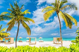 Tropical beach scene, loungers and beach canopy under palm trees and blue sky. Summer vacation and holiday concept
