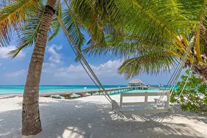 Summer Landscape Prints: Tropical beach, summer landscape with beach swing or hammock over white sand