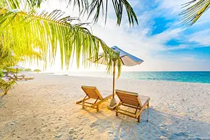 Seychelles Prints: Tropical beach sunset background as summer landscape with lounge chairs and palm trees and calm sea for beach banner