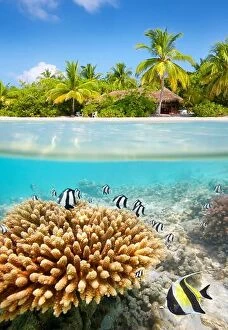 Images Dated 23rd February 2014: Tropical beach and underwater view with reef and fish, Maldives Island