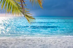 Sunset Landscape Prints: Tropical beach view, palm leaves with white sand close to sea