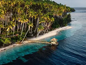 Tropical coastline with coconut palm trees and beach with wooden pier on sunrise in Indonesia. Travel destination