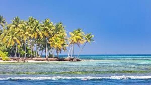 Images Dated 10th January 2017: Tropical island beach. Palm trees near blue sea, tranquil nature concept. Exotic beach scenery