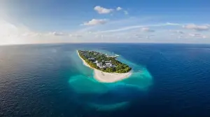 Maldivian Prints: Tropical island with white beach and turquoise water in Maldives