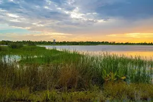 Lakeshore Prints: Tropical lake vegetation in southern swamp at sunset