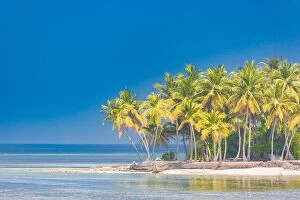 Images Dated 7th January 2017: Tropical landscape, palm trees and blue sea. Idyllic beach landscape for banner concept of tropics