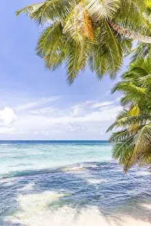 Tropical nature beach, palm tree leaves over exotic seascape with summer vibes. Dream travel vacation beach view, ocean horizon, idyllic scene