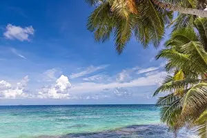 Tropical nature beach, palm tree leaves over exotic seascape with summer vibes. Dream travel vacation beach view, ocean horizon, idyllic scene