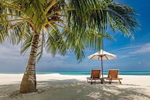 Images Dated 15th December 2018: Tropical paradise beach with white sand and coco palms travel tourism wide panorama background