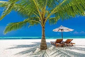 Images Dated 16th January 2017: Tropical paradise beach with white sand and coco palms travel tourism wide panorama background