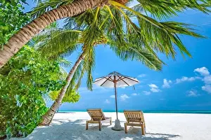Tropical paradise beach with white sand and coco palms travel tourism wide panorama background. Luxury vacation and holiday banner, tropical beach