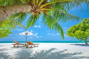 Tropical paradise beach with white sand and coco palms travel tourism wide panorama background. Luxury vacation and holiday banner, tropical beach