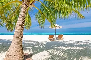 Tropical paradise beach with white sand and coco palms travel tourism wide panorama background. Luxury vacation and holiday banner, tropical beach