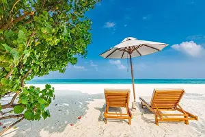 Tropical paradise beach with white sand and coco palms travel tourism wide panorama background. Luxury vacation and holiday banner tropical beach rest