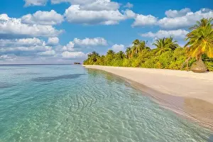 Coco Prints: Tropical paradise beach with white sand and coco palms travel tourism wide panorama background concept