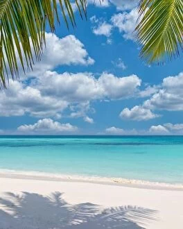 Images Dated 3rd February 2022: Tropical resort hotel beach paradise. Amazing nature, coast, shore
