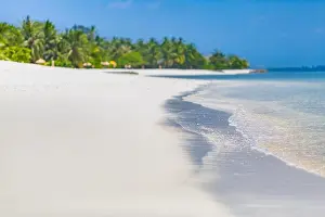 Tropical scenery view on blue lagoon beach with perfect white sand, palm trees, palm tree blur in foreground, beach scene