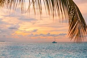 Images Dated 18th December 2015: Tropical sunset with palm leaves framing a sailing boat, sunset sky reflection on the water