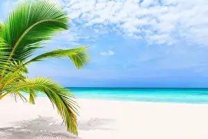Dominican Republic Prints: Tropical white sand beach with coconut palm trees and turquoise blue water in Punta Cana