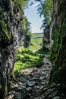 Nostalgia Prints: Trow Gill limestone gorge near the village of Clapham in the North Yorkshire Dales
