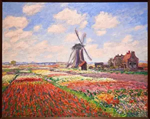 Gallery Prints: Tulip Field in Holland, 1886, Claude Monet (París)
