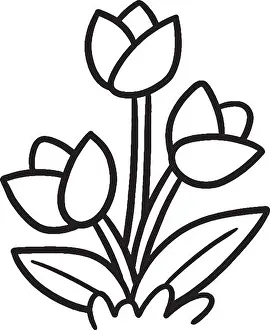 Tulip Prints: Tulip Flower Isolated Coloring Page for Kids