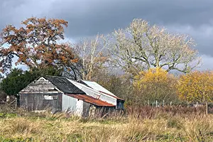 Stormy Sky Prints: Tumbledown shed