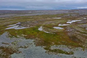 Tundra Prints: Tundra in Norwegen, mit Feuchtgebieten