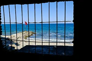 Flagpole Prints: Turkey waving flag behind bars