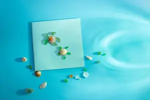 Green Head Prints: Turtle design using seashells and glass on blue sea background