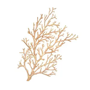 Polyp Prints: Twigs of red coral, an element of the underwater world and reefs