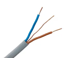 Core Prints: Twin Core and Earth Electrical Wire
