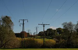 Warning Signs Prints: Twin rows of power lines atop high pylons and stretching into the distance in autumn sunshine