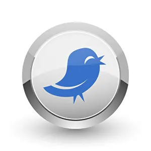 Gossip Prints: Twitter chrome border web and smartphone apps design round glossy icon
