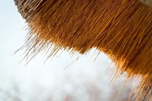 Natural Pattern Prints: Typical thatched roof construction in detail found in Africa