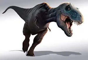 Tyrannosaurus Prints: Tyrannosaurus rex is arguably the most famous dinosaur of all It lived during the last 5 million years of