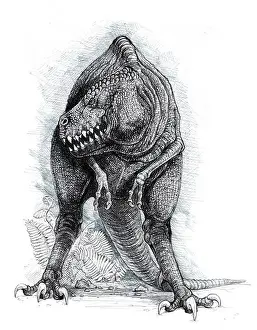 Iguana Prints: Tyrannosaurus rex drawing. Dinosaur hand made illustration. Ancient dragon. T-rex