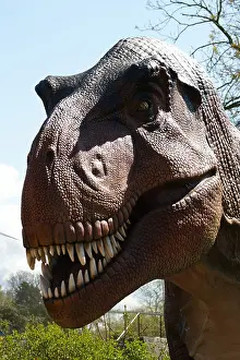 Theropod Prints: Tyrannosaurus Rex a predatory theropod dinosaur that lived in the Cretaceous period in what is now North America
