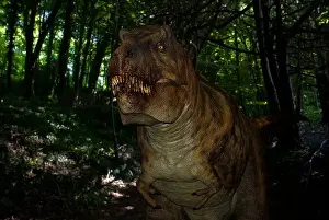 T Rex Prints: Tyrannosaurus rex (T Rex) dinosaur superimposed in a dark forest environment