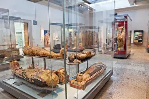 Mummy Prints: UK, England, London, British Museum, Egyptian Room, Display of Egyptian Mummies