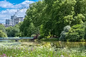 Green Park Prints: UK, England, London, Westminster St