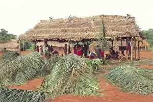 A Ukre Village Brazil Men of the village working together to build an new palm thatched house Kayapo tribe