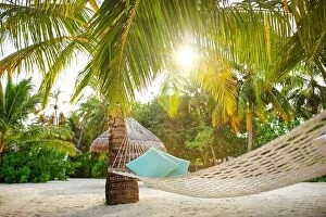 Images Dated 13th December 2018: Ultimate relaxation, hanging hammock on palm tree with soft sun rays under palm leaves