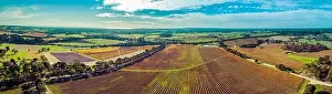 Mornington Prints: Ultra wide aerial panorama of huge vineyard and rural landscape of Mornington Peninsula