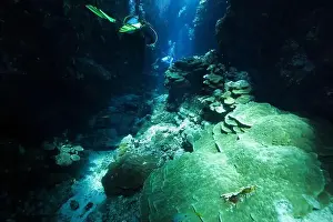 Sea Cave Prints: Underwater corridors and caverns near Abu Dabab