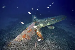 Le Midi Prints: Underwater image of a rusty aircraft wreck