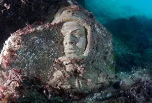 Exhibits Prints: Underwater museum 'Reddening leaders'
