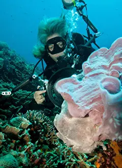 Salt Water Prints: Underwater photographer