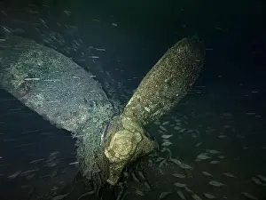 Shipwreck Prints: Underwater photography of a shipwreck propeller